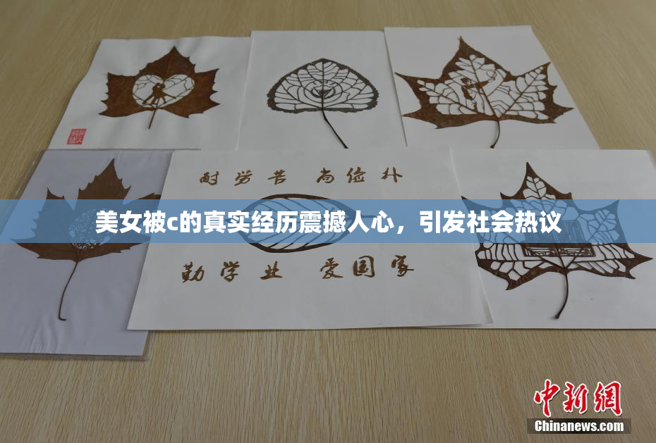 美女被c的真实经历震撼人心，引发社会热议