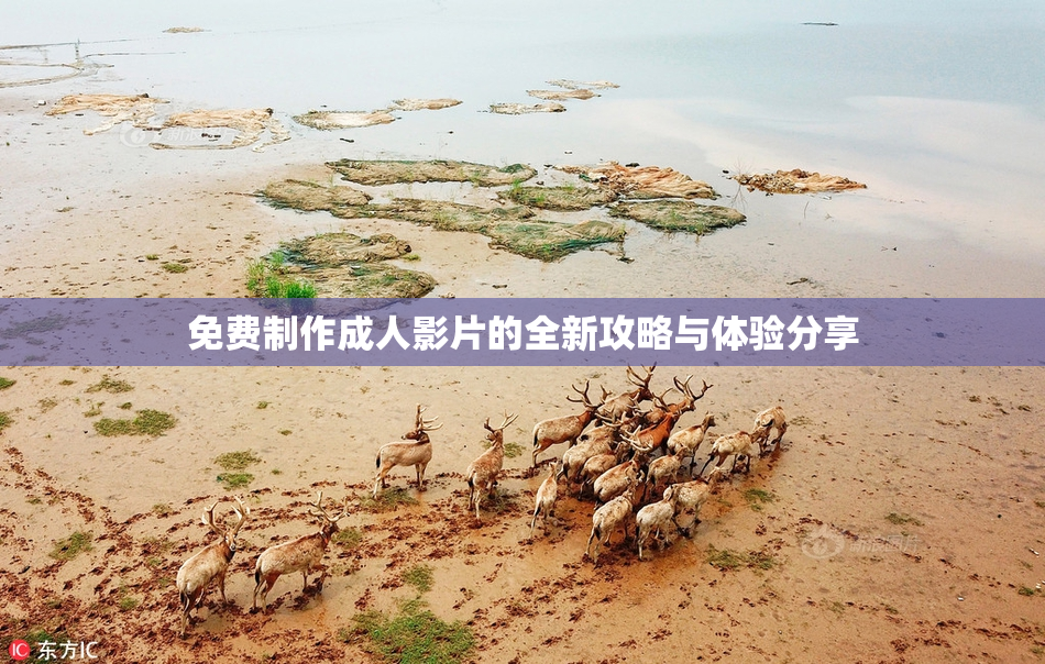 免费制作成人影片的全新攻略与体验分享