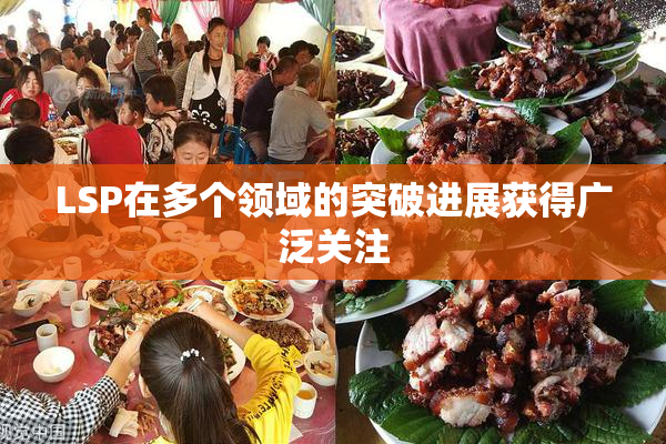 LSP在多个领域的突破进展获得广泛关注