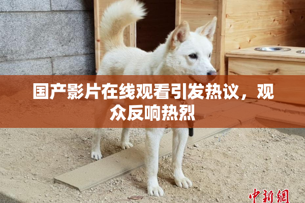 国产影片在线观看引发热议，观众反响热烈