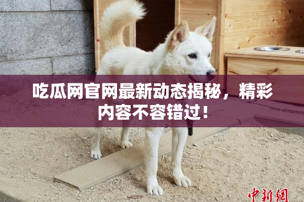 吃瓜网官网最新动态揭秘，精彩内容不容错过！