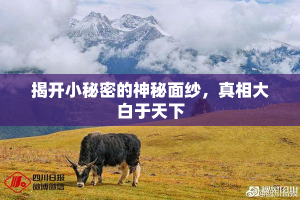 揭开小秘密的神秘面纱，真相大白于天下