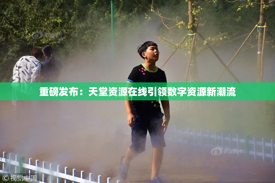 重磅发布：天堂资源在线引领数字资源新潮流