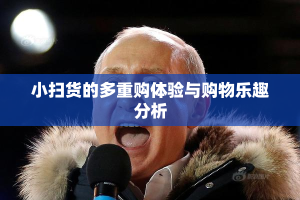 小扫货的多重购体验与购物乐趣分析