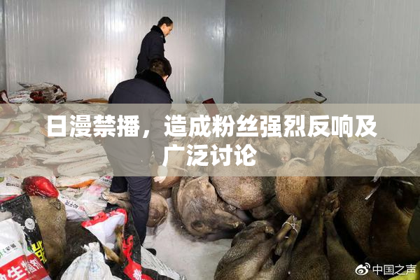 日漫禁播，造成粉丝强烈反响及广泛讨论