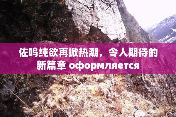佐鸣纯欲再掀热潮，令人期待的新篇章 оформляется