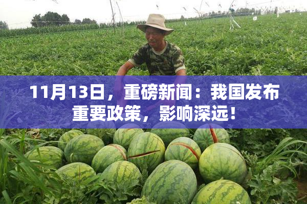 11月13日，重磅新闻：我国发布重要政策，影响深远！