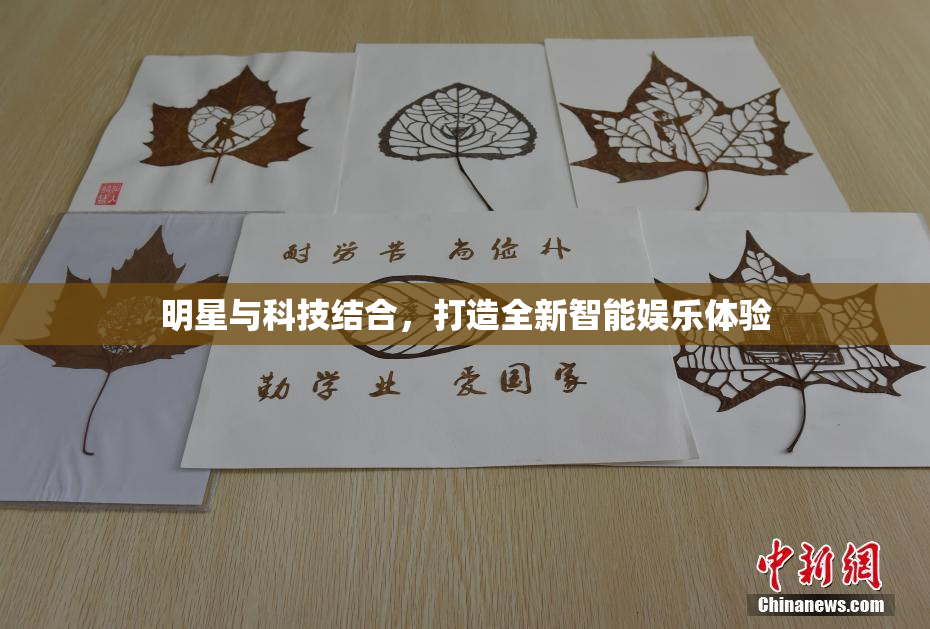 明星与科技结合，打造全新智能娱乐体验