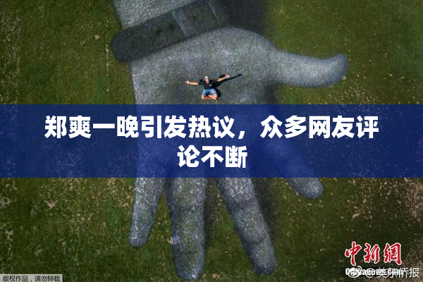 郑爽一晚引发热议，众多网友评论不断