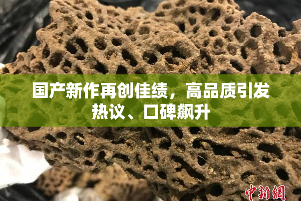 国产新作再创佳绩，高品质引发热议、口碑飙升