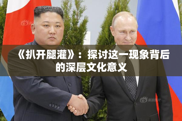 《扒开腿灌》：探讨这一现象背后的深层文化意义