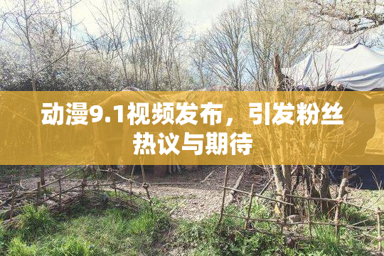 动漫9.1视频发布，引发粉丝热议与期待