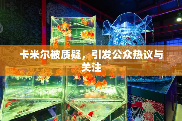 卡米尔被质疑，引发公众热议与关注
