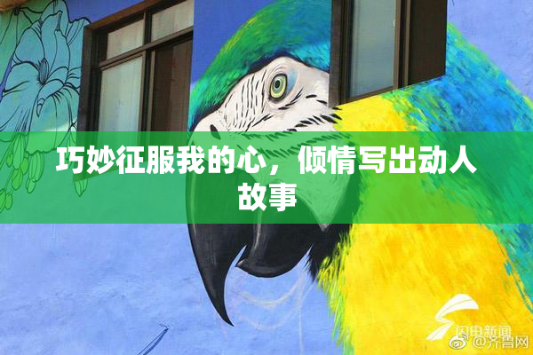 巧妙征服我的心，倾情写出动人故事