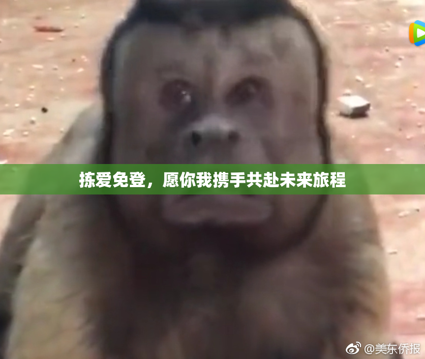 拣爱免登，愿你我携手共赴未来旅程
