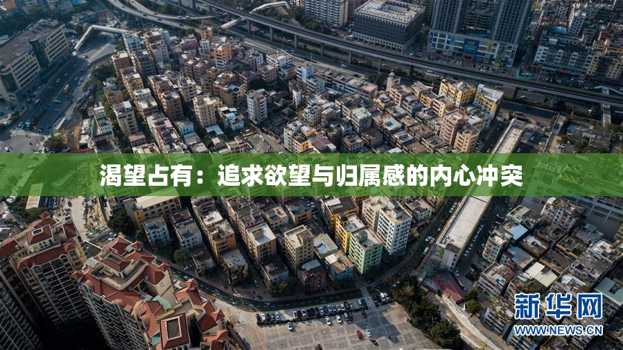 渴望占有：追求欲望与归属感的内心冲突