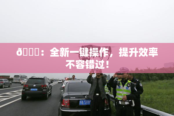 🔞：全新一键操作，提升效率不容错过！