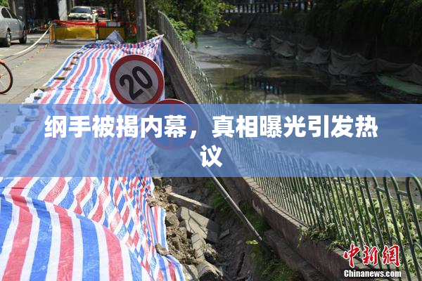 纲手被揭内幕，真相曝光引发热议
