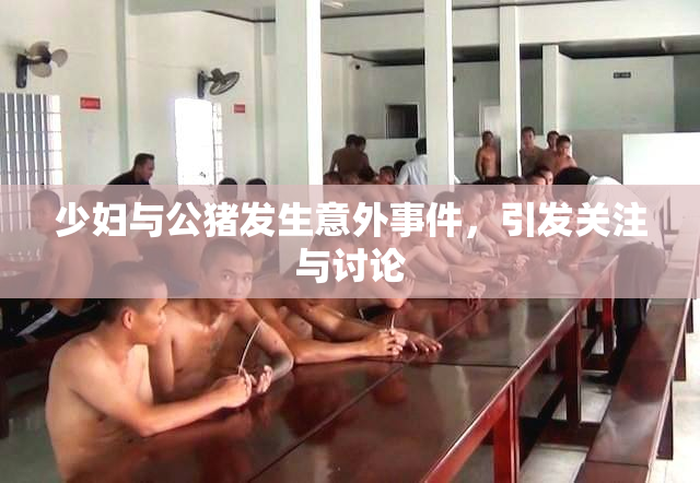 少妇与公猪发生意外事件，引发关注与讨论