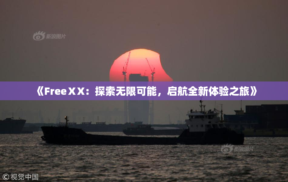 《FreeⅩX：探索无限可能，启航全新体验之旅》