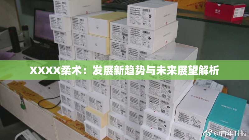 XXXX柔术：发展新趋势与未来展望解析