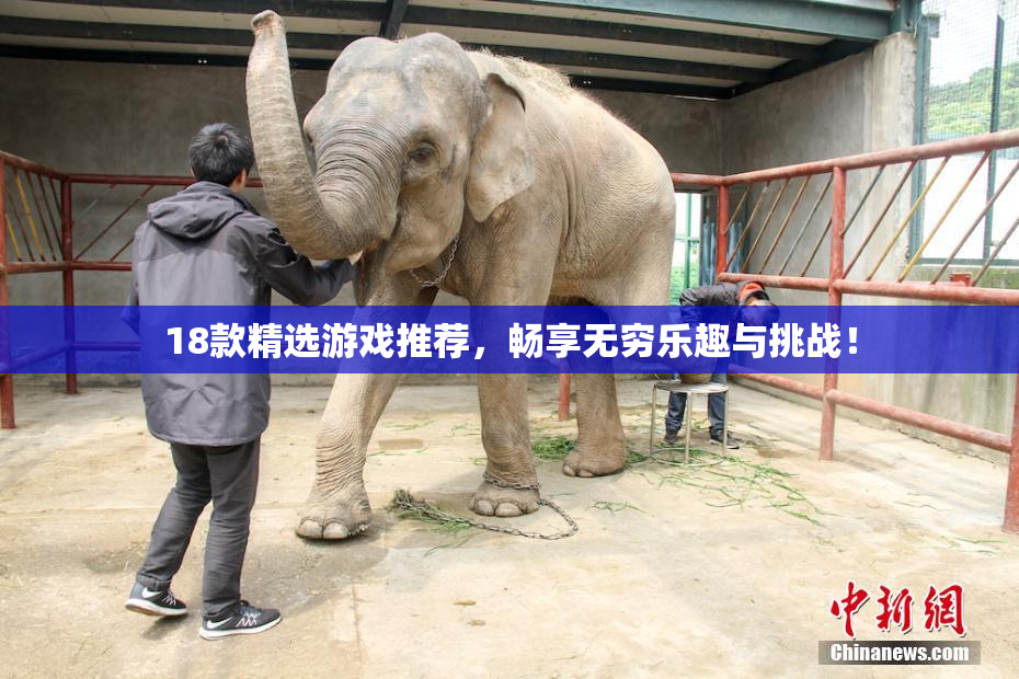 18款精选游戏推荐，畅享无穷乐趣与挑战！