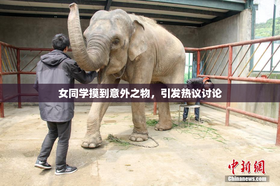 女同学摸到意外之物，引发热议讨论