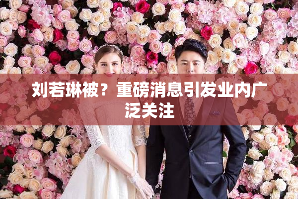 刘若琳被？重磅消息引发业内广泛关注