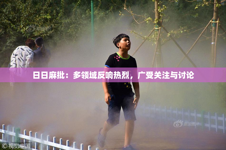 日日麻批：多领域反响热烈，广受关注与讨论