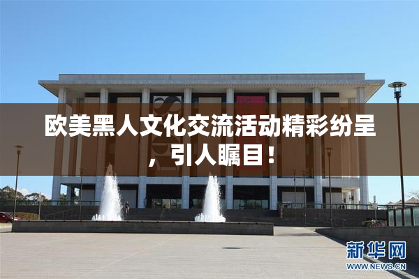 欧美黑人文化交流活动精彩纷呈，引人瞩目！