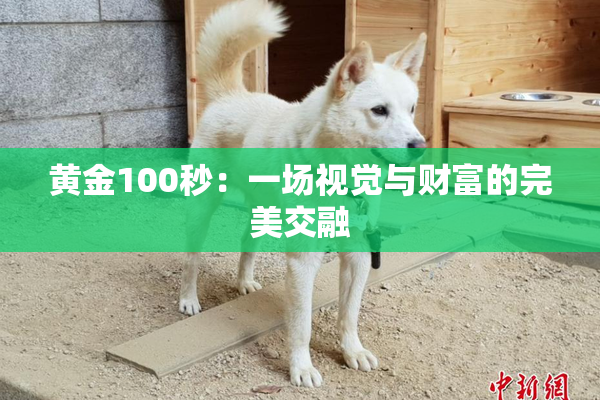 黄金100秒：一场视觉与财富的完美交融
