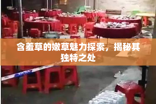 含羞草的嫩草魅力探索，揭秘其独特之处