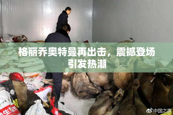 格丽乔奥特曼再出击，震撼登场引发热潮