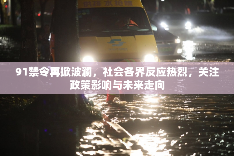 91禁令再掀波澜，社会各界反应热烈，关注政策影响与未来走向