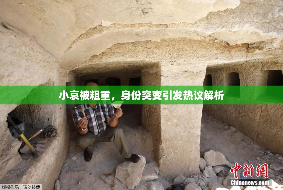 小哀被粗重，身份突变引发热议解析