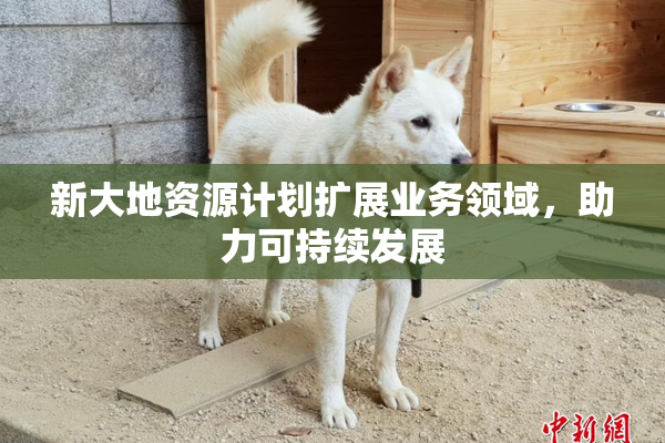 新大地资源计划扩展业务领域，助力可持续发展