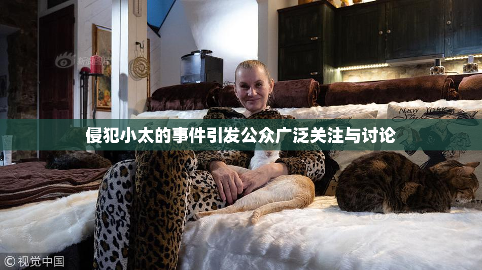 侵犯小太的事件引发公众广泛关注与讨论
