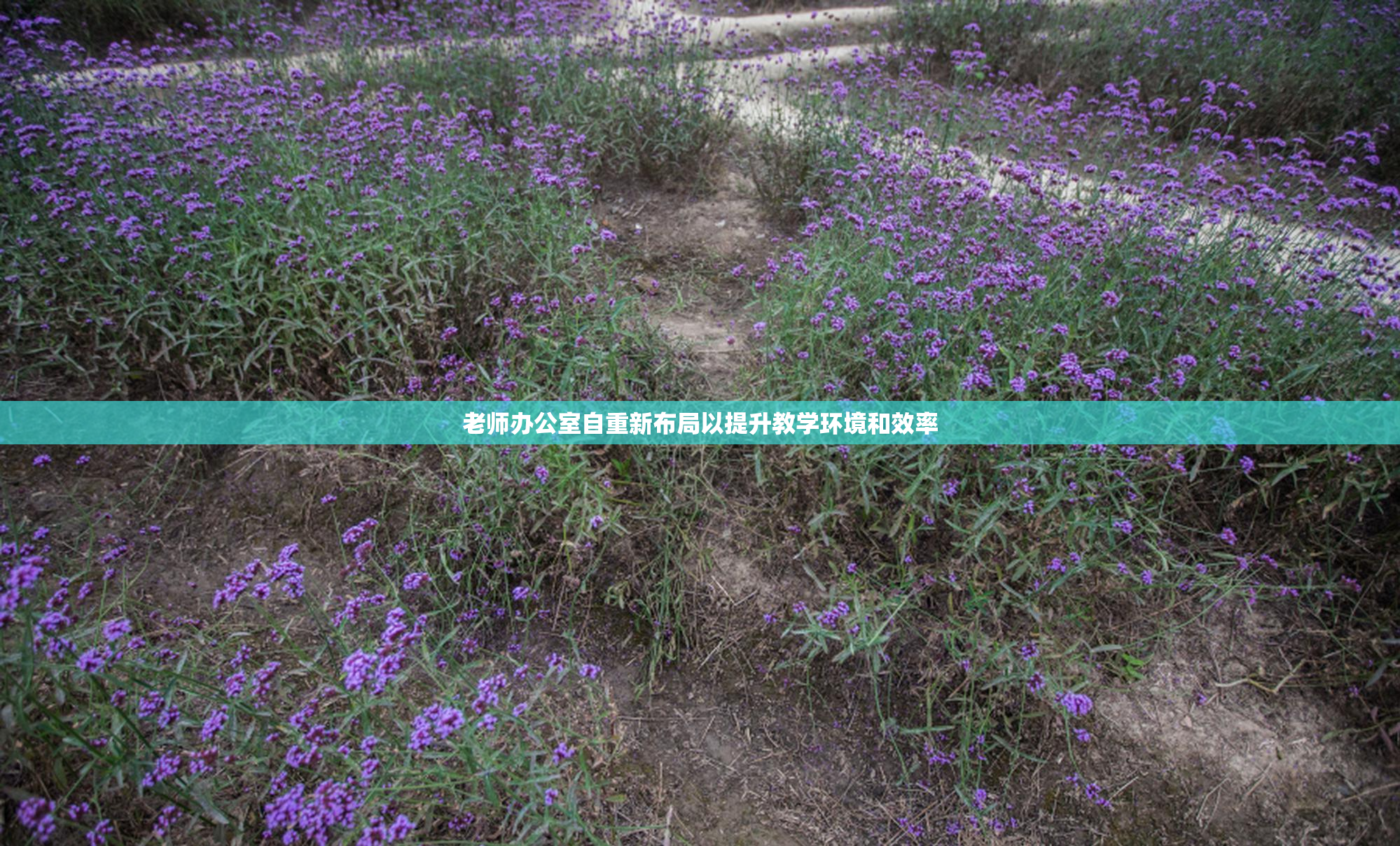 老师办公室自重新布局以提升教学环境和效率