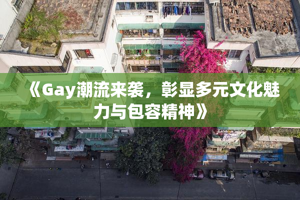 《Gay潮流来袭，彰显多元文化魅力与包容精神》
