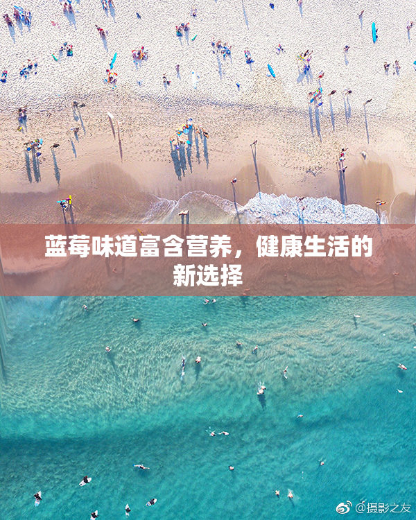 蓝莓味道富含营养，健康生活的新选择