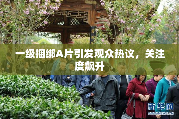 一级捆绑A片引发观众热议，关注度飙升