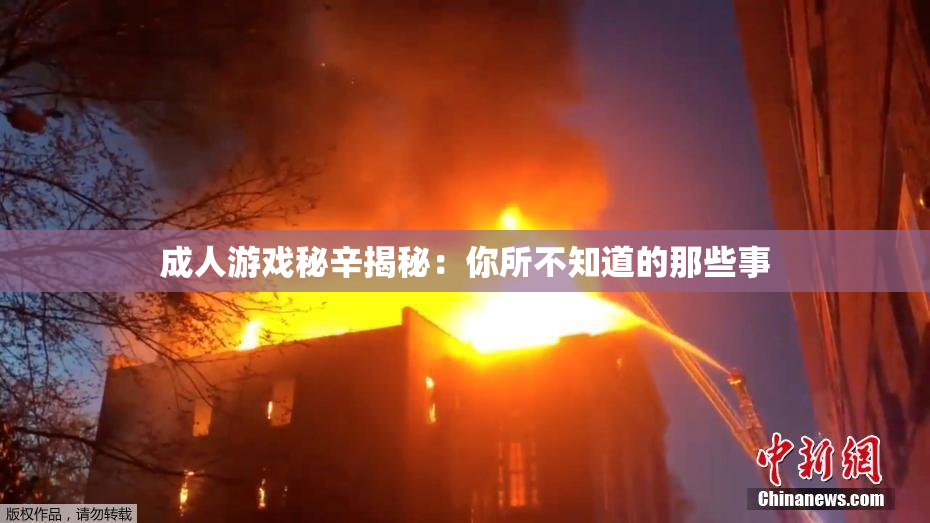 成人游戏秘辛揭秘：你所不知道的那些事