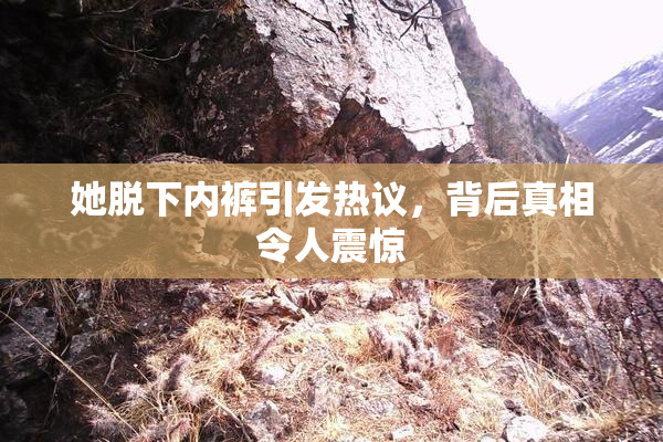 她脱下内裤引发热议，背后真相令人震惊