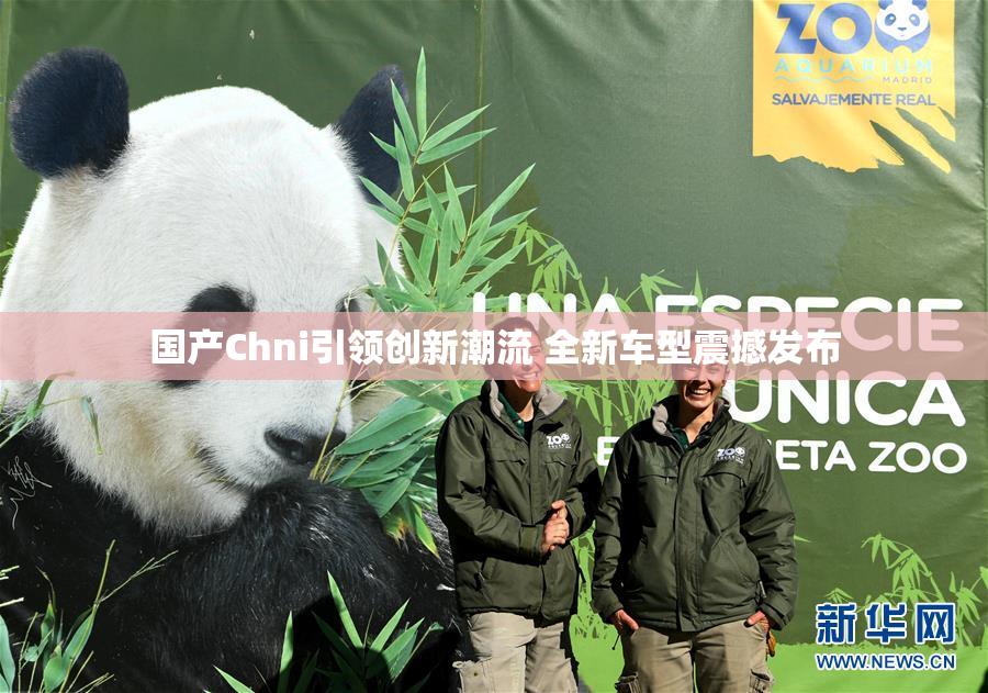 国产Chni引领创新潮流 全新车型震撼发布