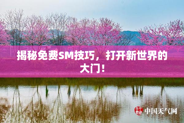 揭秘免费SM技巧，打开新世界的大门！