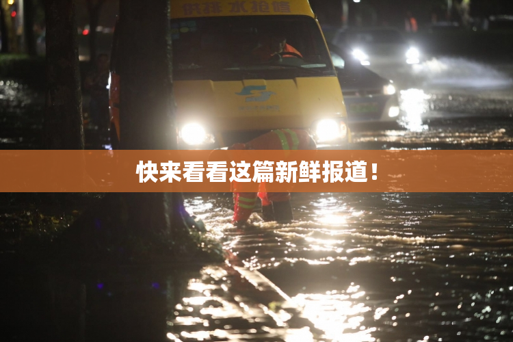 快来看看这篇新鲜报道！