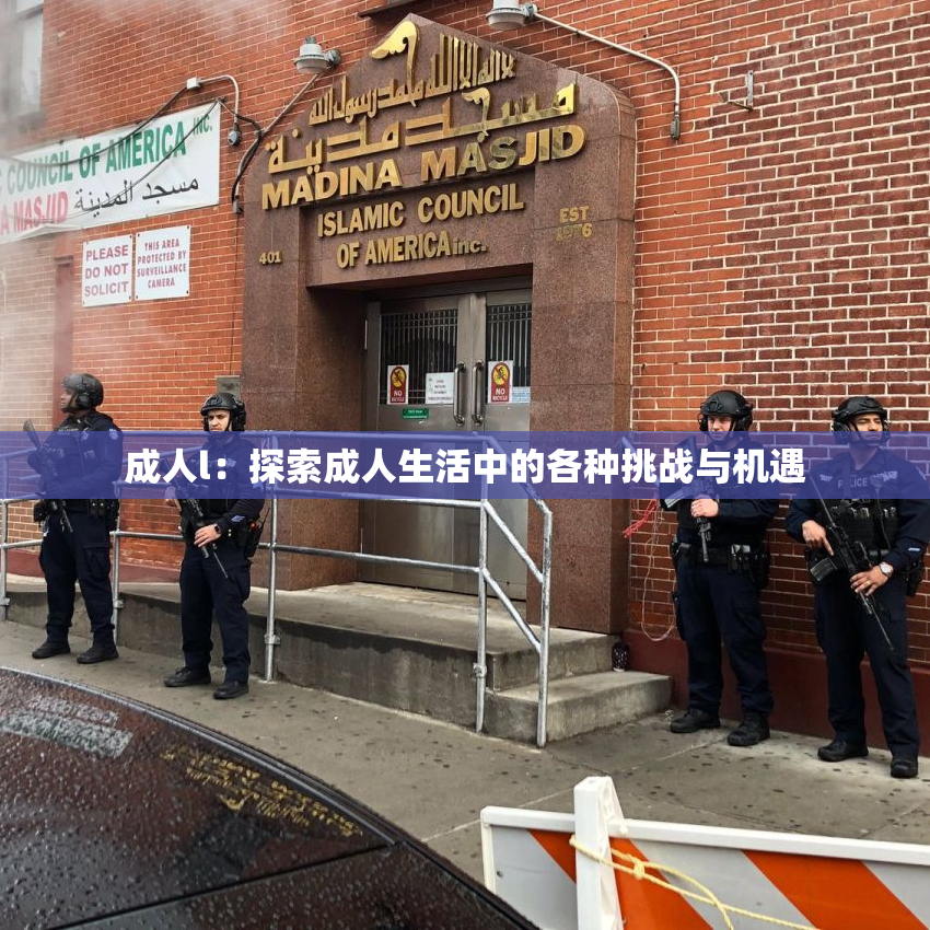 成人l：探索成人生活中的各种挑战与机遇