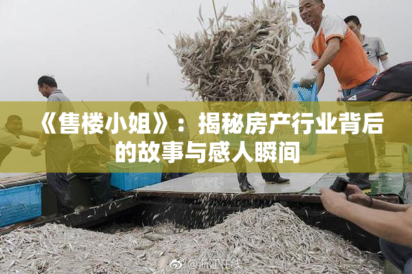 《售楼小姐》：揭秘房产行业背后的故事与感人瞬间