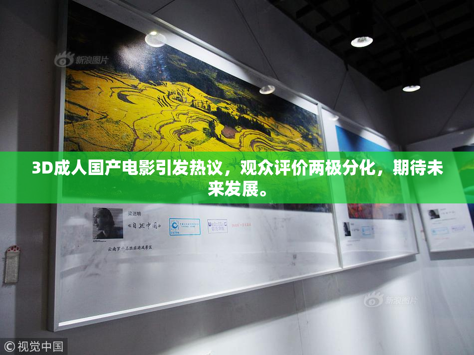 3D成人国产电影引发热议，观众评价两极分化，期待未来发展。