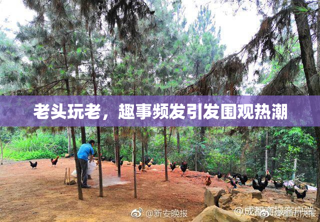 老头玩老，趣事频发引发围观热潮